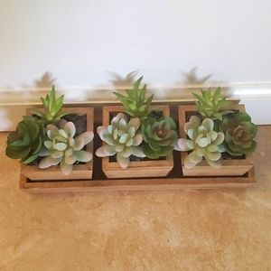 Faux succulent plant
